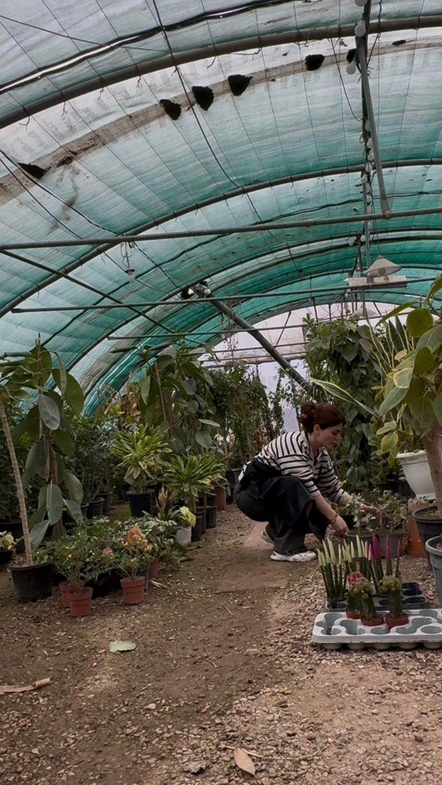 Bakhihanar Gallery Image